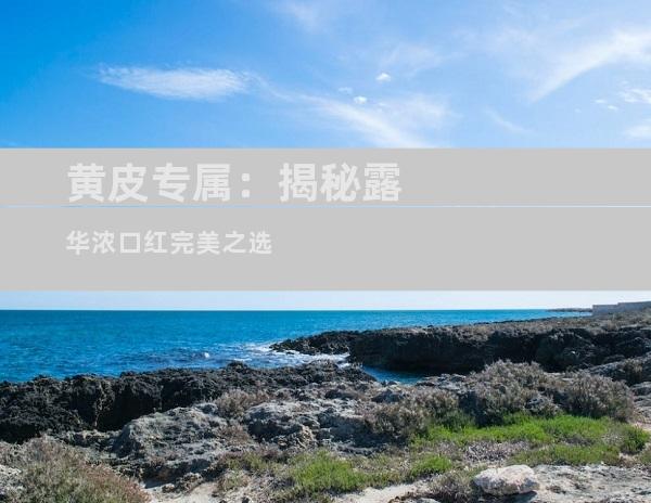 黄皮专属：揭秘露华浓口红完美之选